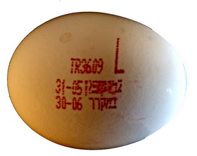 egg