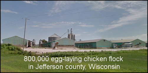 WI WI
